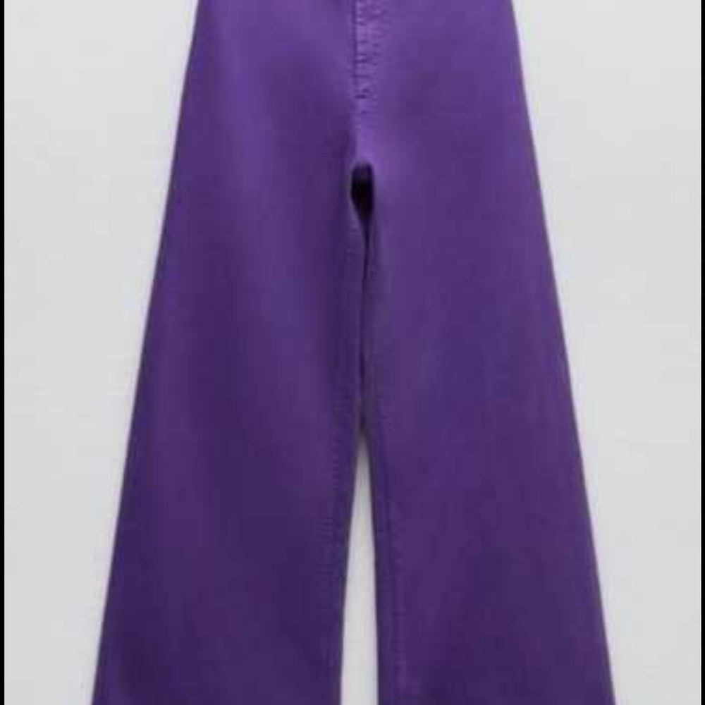 Zara Purple Women Jeans